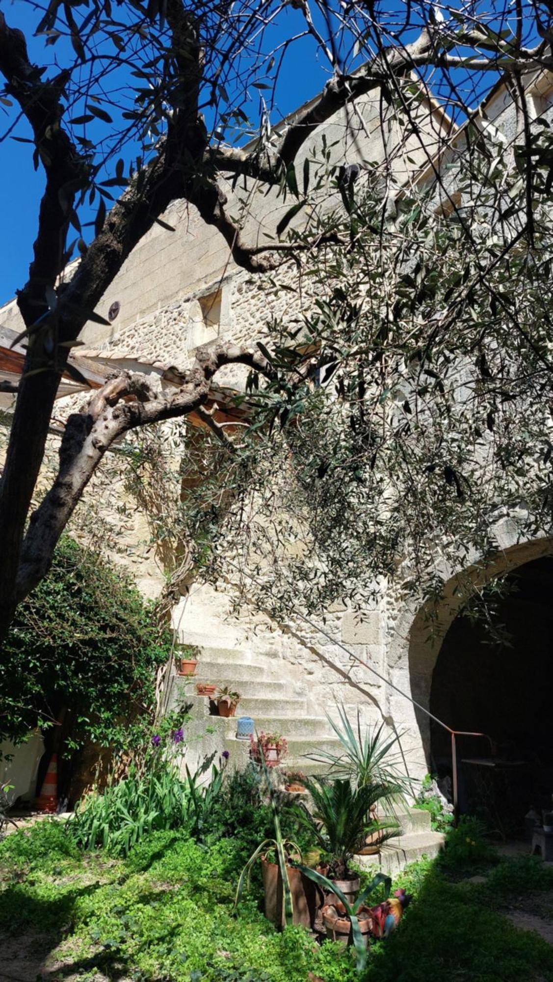 Le Petit Domeynes Apartment Exterior photo